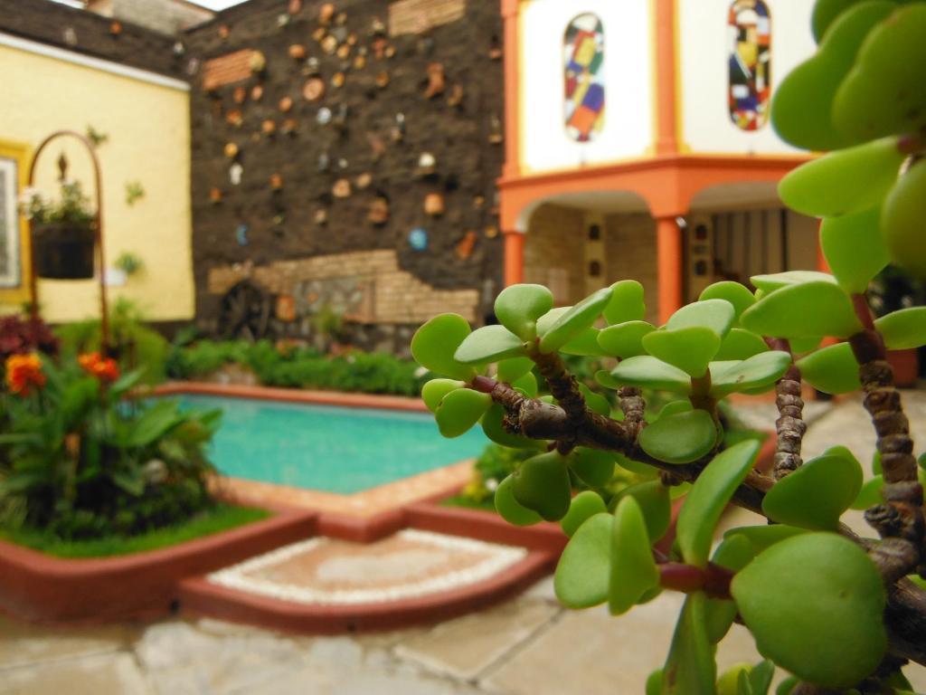 Hotel Casa Armonia ทลาคิวปาก ภายนอก รูปภาพ